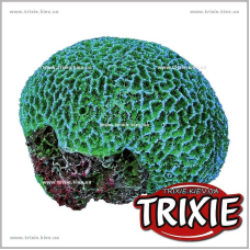 Коралл для рыбок TRIXIE (Размер: 14см, Цвет: зеленый) Коралл для рыбок TRIXIE (Размер: 14см, Цвет: зеленый)