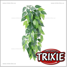 Растение для террариума TRIXIE - Ficus (Размер: 20х30см) Растение для террариума TRIXIE - Ficus (Размер: 20х30см)