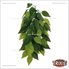 Растение для террариума TRIXIE - Ficus (Размер: 20х50см) Растение для террариума TRIXIE - Ficus (Размер: 20х50см)