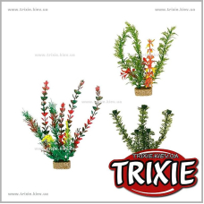 Растение для аквариума TRIXIE - Набор, основание из песка (Размер: 12см)